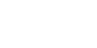 DSI LOGO
